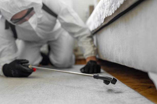 Professional Termite Control technician working in Edmonds, WA
