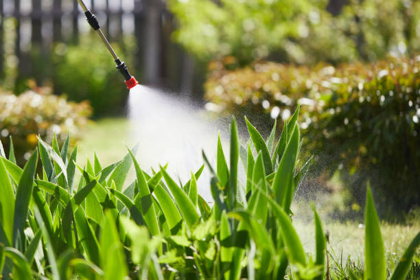 24/7 Emergency Termite Control experts in Edmonds, WA